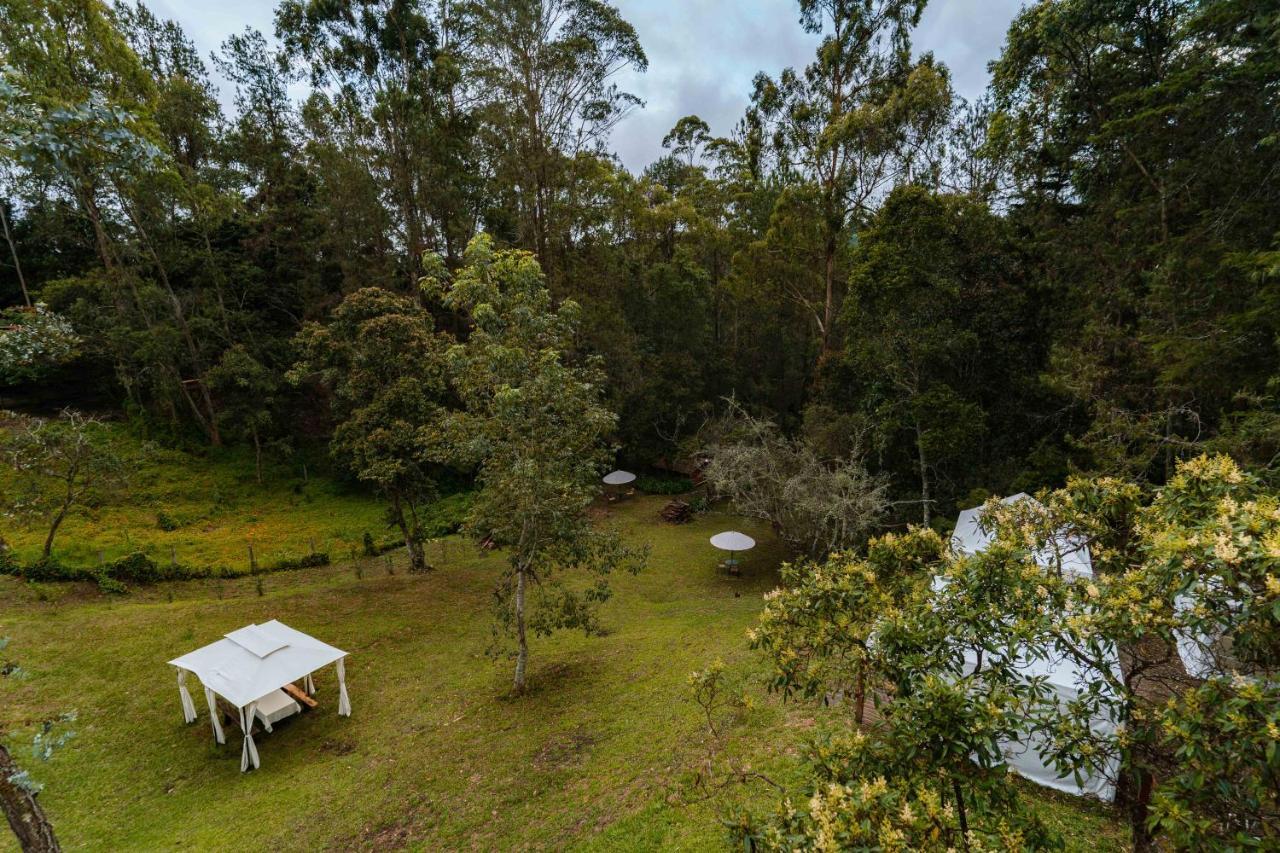 Alma Campestre