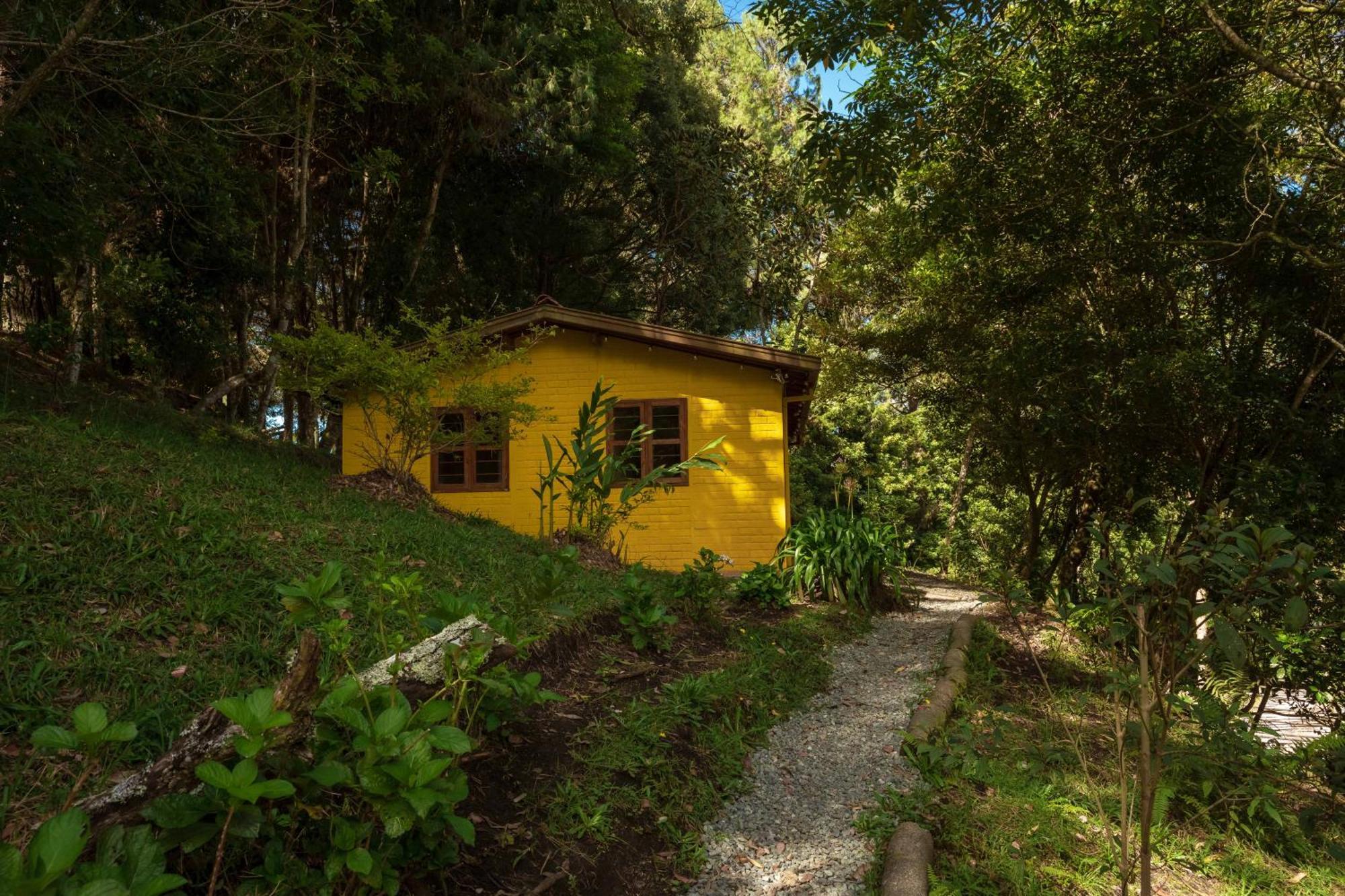 Alma Campestre *