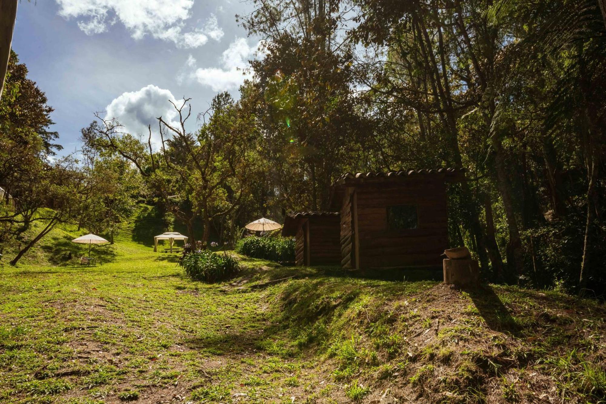 Alma Campestre